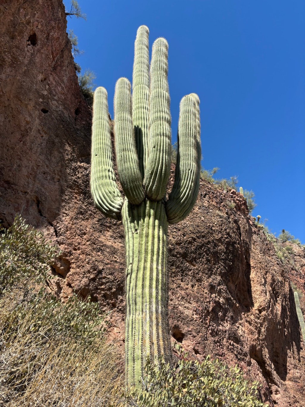 Day 5: unplanned wonderful ancient dwelling home at Tonto National&nbsp;Park
