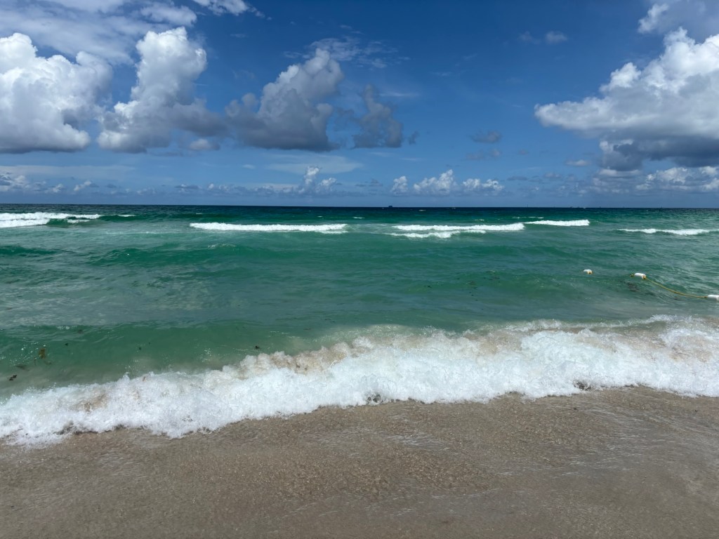 Day 2: Miami South Beach and Aventura!